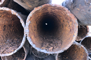 Осенний ценопад!