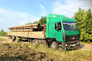 Доставим заказ сегодня